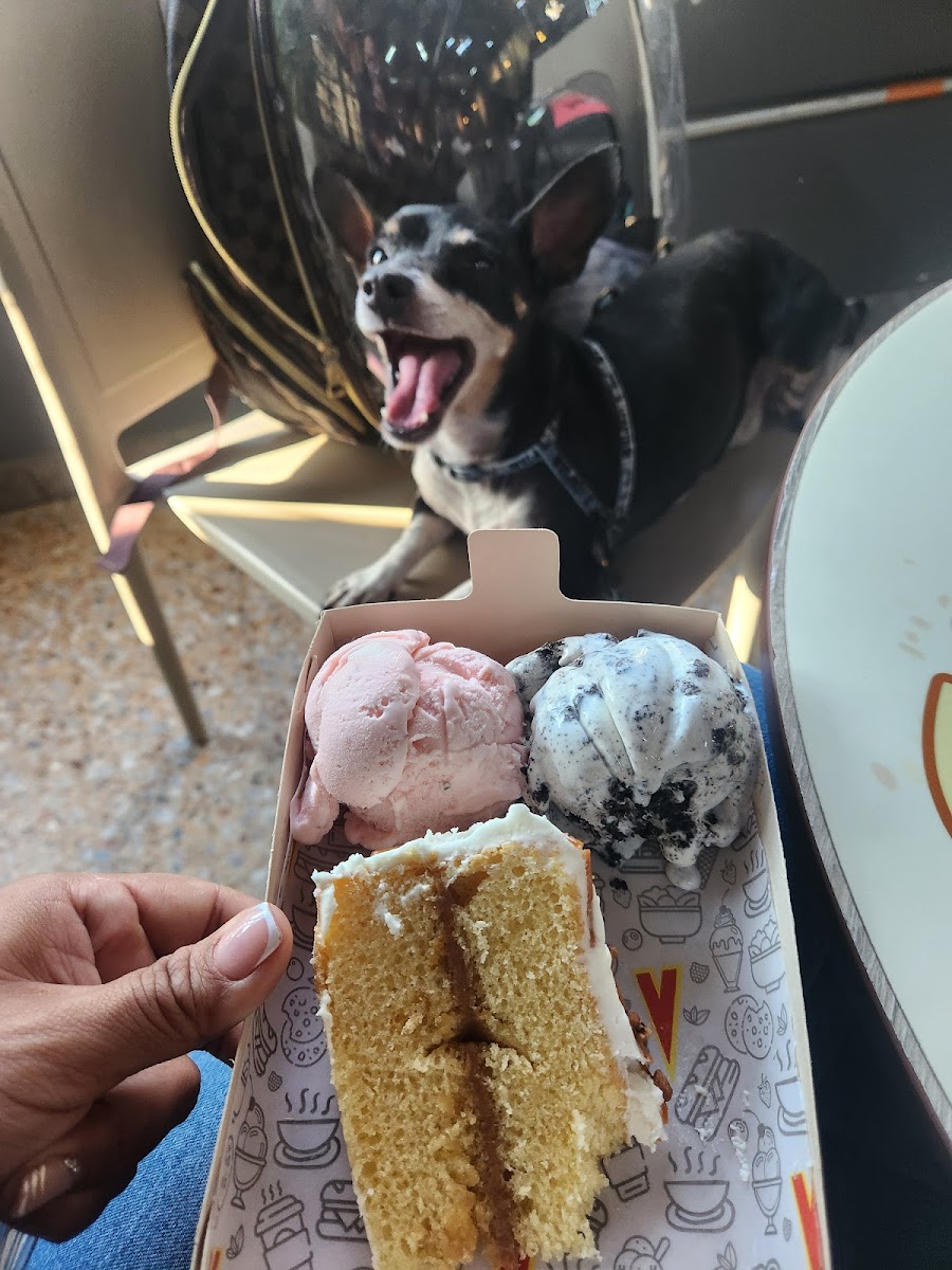 Ventolini S.a. Punto De Fabrica Photos 2